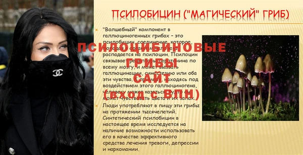 дживик Алзамай