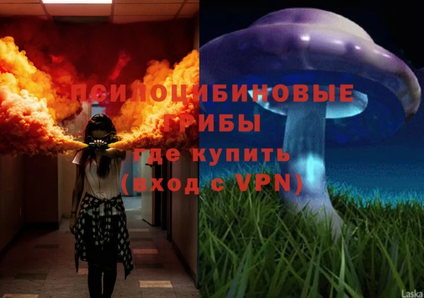 дживик Алзамай