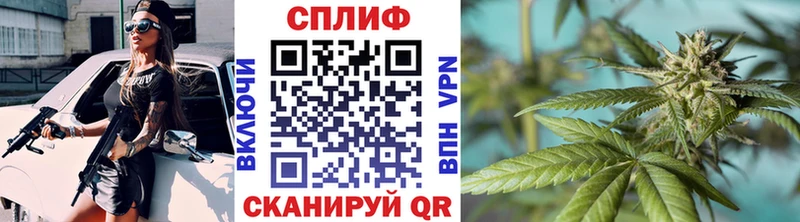 Купить закладки  Звенигово  Марихуана Ganja 